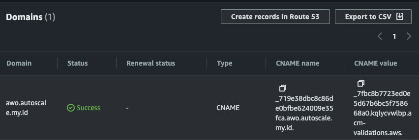 copy cname